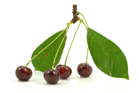 Red cherries isolated on a white background 