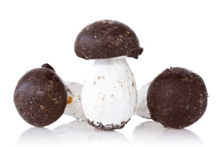 Cookies in the form of mushrooms. Isolated on a white backgroundの写真素材