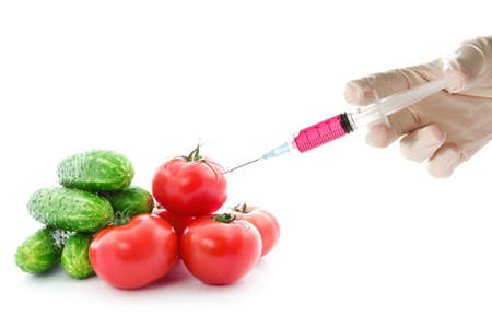 Scientist injecting GMO into the tomato. Isolated on white background.の写真素材