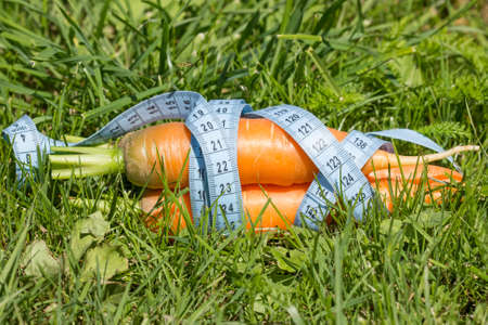 Carrot wrapped by measure tape on the grass の写真素材