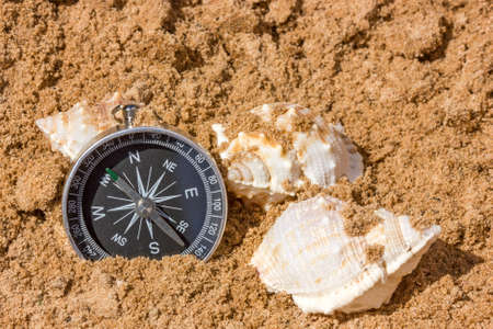 Compass and seashells in the beach sandの写真素材