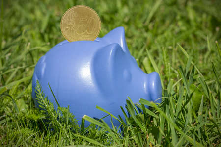 Blue piggy bank with coin on the green grassの写真素材