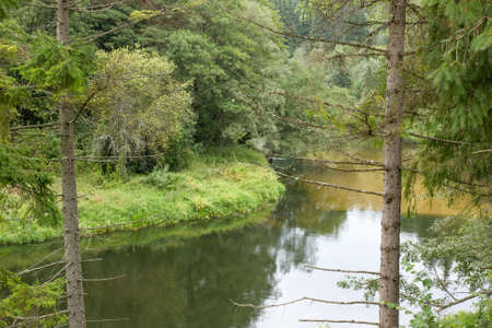 Wild river  running trough the green forestの写真素材