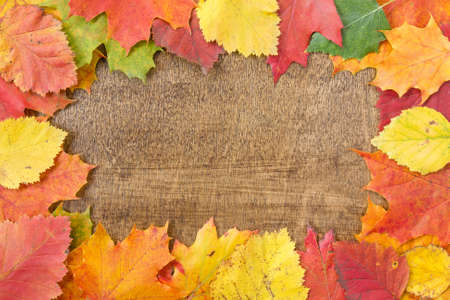 Autumn leaves over wooden background.With copy space 