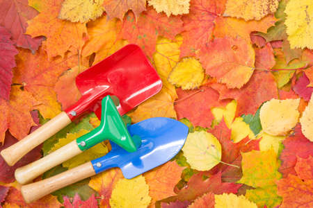 Garden tools on the colorful autumn leaves backgroundの写真素材