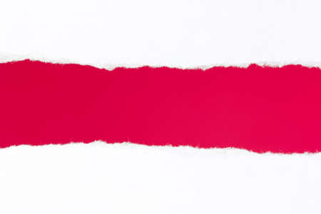 Torn white paper with space for your message 