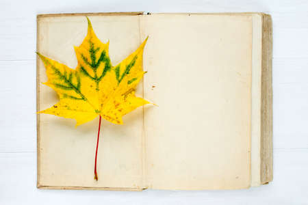 Old open book and autumnal maple leafの写真素材