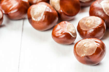 Fruit chestnut on a white wood background with copy-spaceの写真素材
