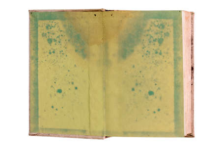 Old blank open book isolated on white background. Very textured green pages, ready to be filled with...