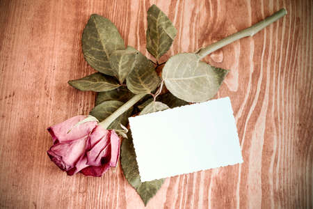Old rose and blank greeting card over wooden table. Top view with copy spaceの写真素材