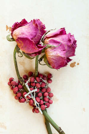 Two dried roses and rosary on old paper backgroundの写真素材