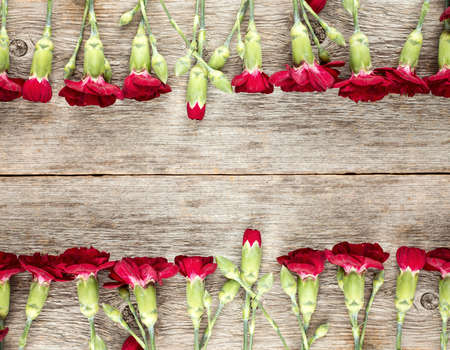 Frame from carnations on wooden background with copy-spaceの写真素材