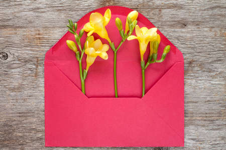 Yellow feesia flowers in red envelope,top view on wooden backgroundの写真素材