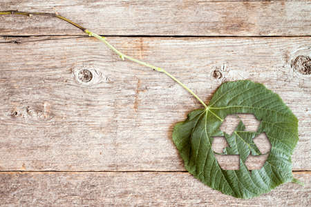 Green leaf with a cutout of a recycle symbol on a wooden backgroundの写真素材