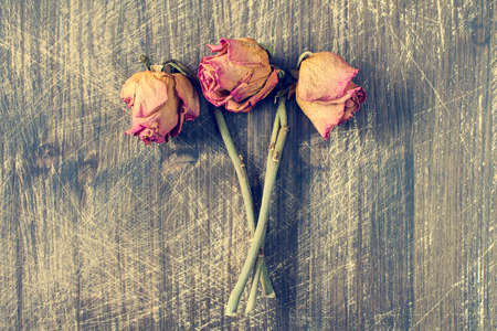 Three dry roses on the old wooden surfaceの写真素材