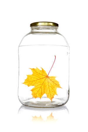Glass jar with fallen leaf, isolated on white background.の写真素材