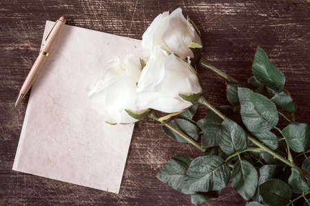 Pen lying on blank paper card with white rose backgroundの写真素材