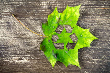 Green maple leaf with recycle symbol, lying  on wooden backgroundの写真素材