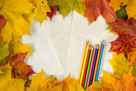 Autumn leaves and color pencils on a paper background. Copy-space.の写真素材