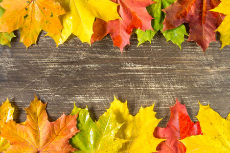 Colorful autumn leaves frame with wooden background for copy-spaceの写真素材