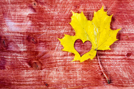 Yellow maple leaf with heart shape on the red wooden backgroundの写真素材