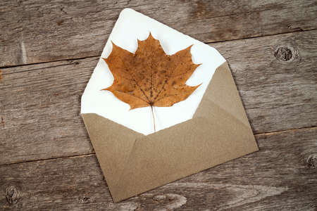 Autumn leaf and open envelope on wooden backgroundの写真素材
