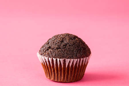 Chocolate muffin on pink background. Copy space.の写真素材