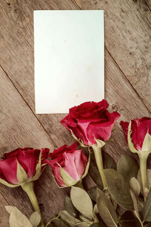 Four red roses and blank card for copy-spaceの写真素材