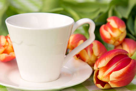 White coffee cup and bunch of spring tulipsの写真素材