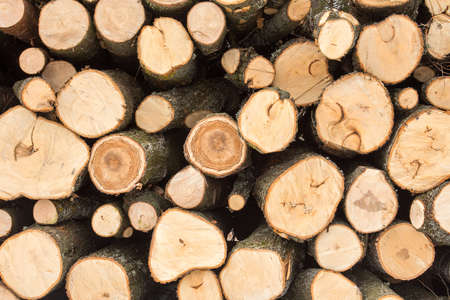 Dry chopped firewood logs stacked up on top of each other in a pile