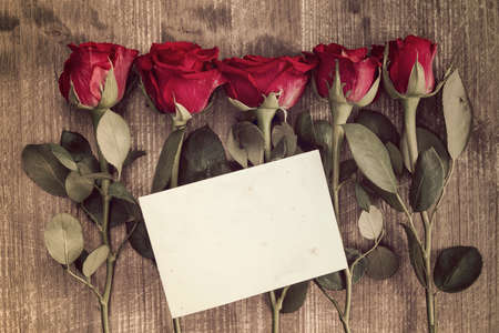 Five red roses and blank card for copy-spaceの写真素材