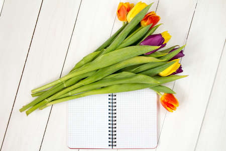 Tulip flowers and notebook  on white wooden background. Flat lay. Top view.の写真素材