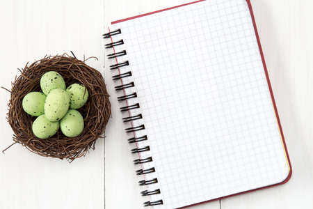 Nest with painted eggs and blank notebook for copy-spaceの写真素材