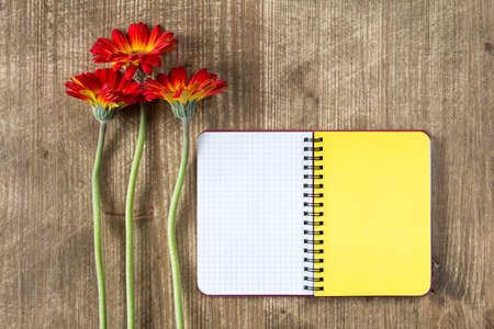 Blank notebook and three gerberas on the wooden tableの写真素材