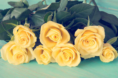 Beautiful yellow roses  with pastel color filters abstractの写真素材