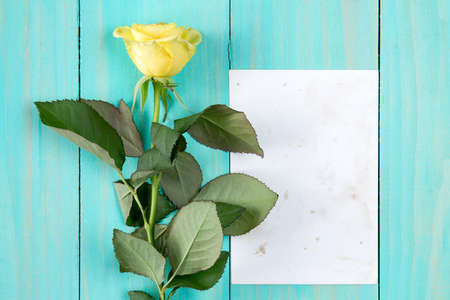 Yellow rose and blank card on blue wooden background