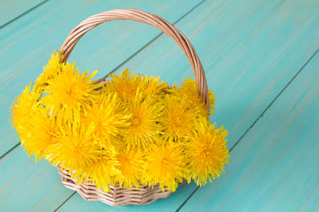 Wicker basket with yellow spring flowers - sow-thistlesの写真素材