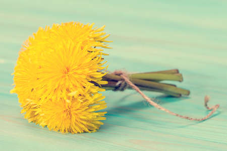 Bunch of yellow dandelion flowers tied with rope.の写真素材