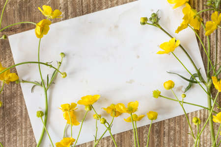 Yellow wildflowers and blank card for copy-spaceの写真素材