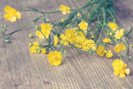 Yellow wildflowers on wooden backgroundの写真素材