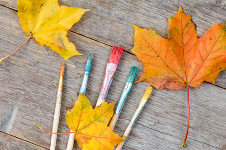 Colors of autumn abstract with paint brush and leavesの写真素材