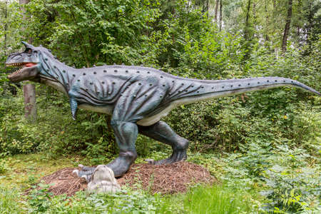 Hunt and roaring of prehistoric predator dinosaur