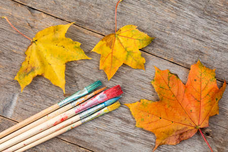 Colorful autumn abstract with paint brush and leavesの写真素材