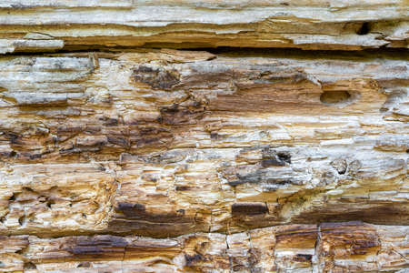 Old rotten cracked wooden background texture