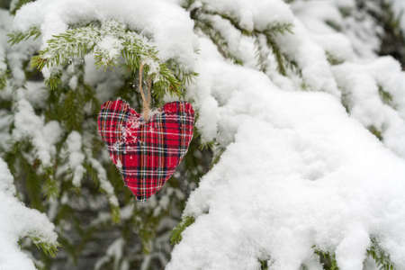 Handmade Christmas Decoration hanging on snowy fir treeの写真素材
