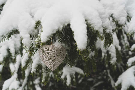 New Year Heart shaped  Decoration hanging on fir treeの写真素材