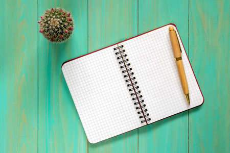 Small cactus and open notebook on the table.Top view.