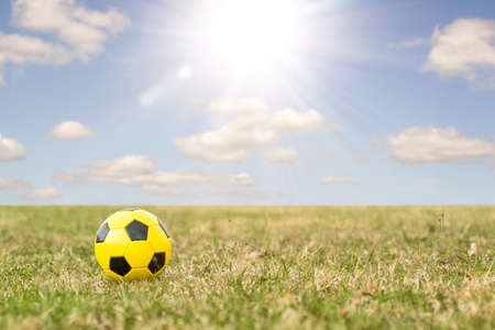 Soccer ball on the field with spring grass and sunlightの写真素材