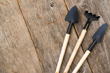 Set of gardening tools on old wood background Set of gardening tools on old wood background