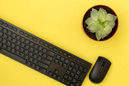 Wireless computer keyboard, computer mouse and potted plant on the yellow backgroundの写真素材